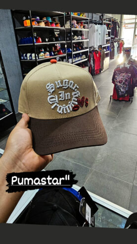 Pumastar”