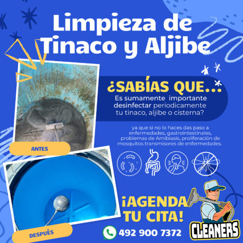 Cleaners Zacatecas