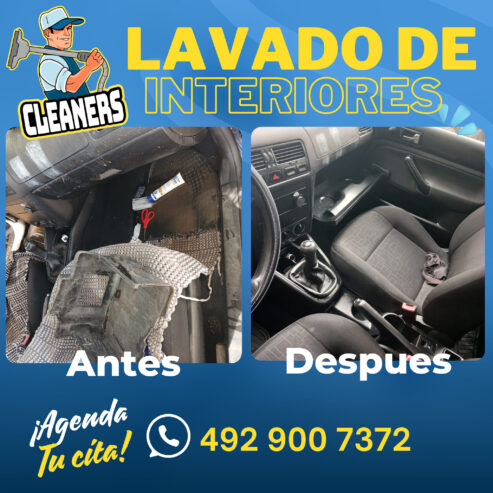 Cleaners Zacatecas